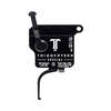 Il grilletto TRIGGERTECH REM700 Model 7 Special offre una rottura senza attrito, una corsa ridotta e un'affidabilità eccezionale in qualsiasi ambiente.