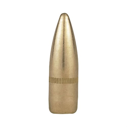 Entdecke die hochwertigen 22 Caliber, 5.56mm (0.224") 55gr FMJBT Geschosse von Berry's Manufacturing – perfekt für Training und Wettkämpfe!
