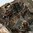 EBERLESTOCK GUNSLINGER II PACK - MULTICAM