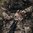 EBERLESTOCK OPERATOR PACK - MULTICAM