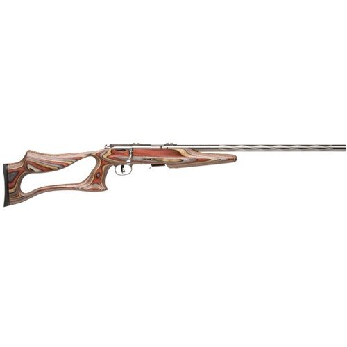 Le Savage 93R17 BSEV en 17 HMR avec canon de 21" est léger, précis et doté d'un fini en acier inoxydable avec un flûtage spiralé, parfait pour le tir.