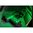 VIRIDIAN CTL+ HIGH-OUTPUT 1,100 LUMEN RAIL MOUNTED WEAPON LIGHT BLK